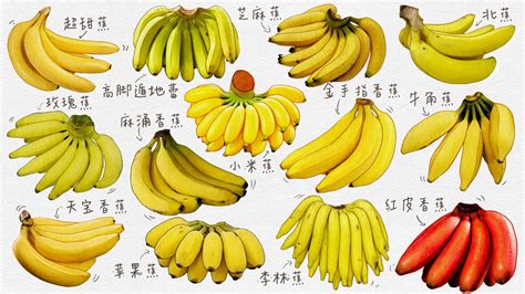 量具種類 夢見香蕉是幾號